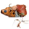 NOWHYX Glove Locks Spring Design for Baseball-2